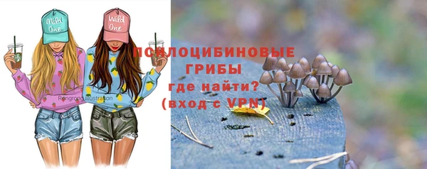 шишки Аркадак
