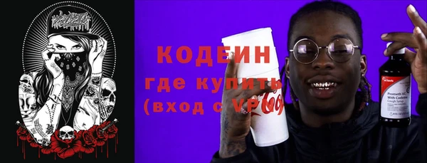 шишки Аркадак