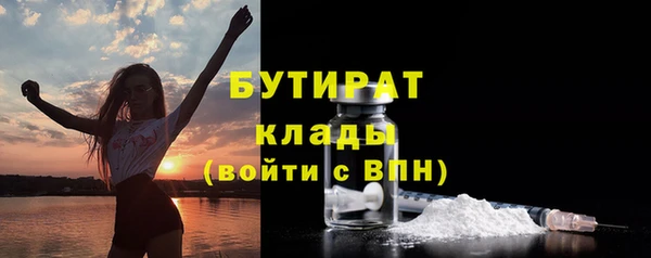 шишки Аркадак