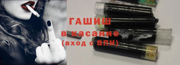 шишки Аркадак
