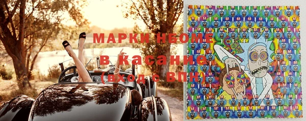 шишки Аркадак