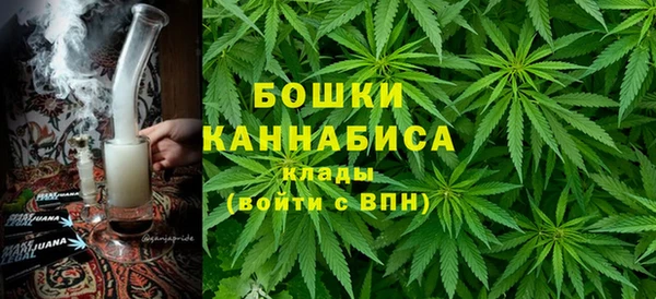 шишки Аркадак