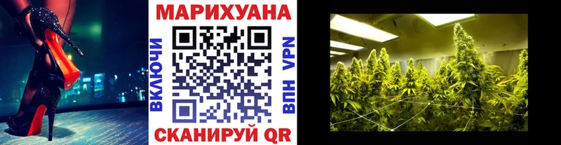 МАРИХУАНА семена  Сельцо 